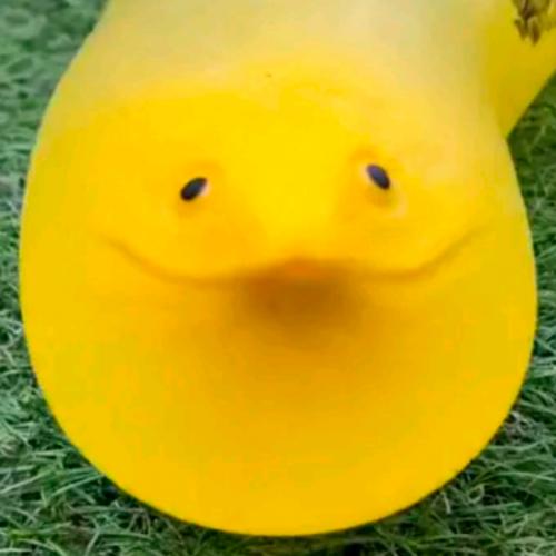 สมาชิกหมายเลข 6890761