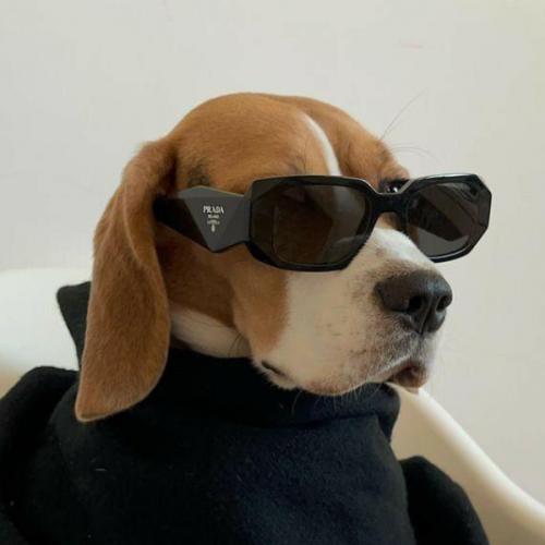 สมาชิกหมายเลข 7653855