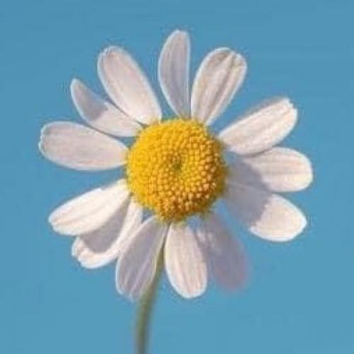 สมาชิกหมายเลข 7653859