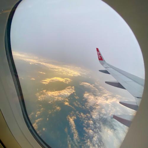 สมาชิกหมายเลข 8597231