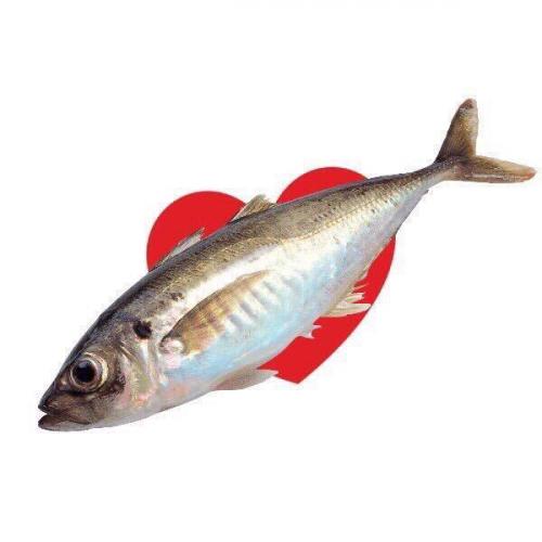 สมาชิกหมายเลข 4496030