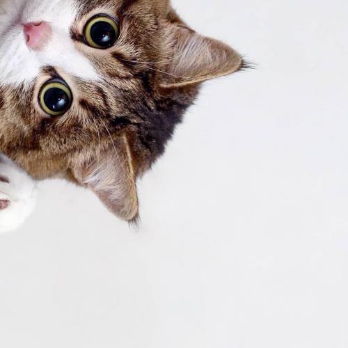 สมาชิกหมายเลข 5659766