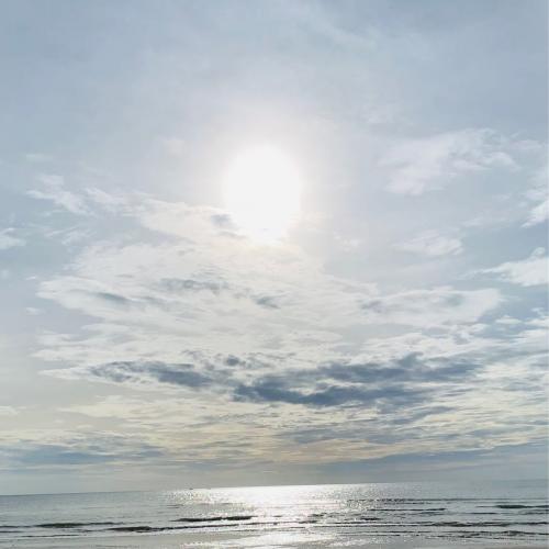 สมาชิกหมายเลข 6238620