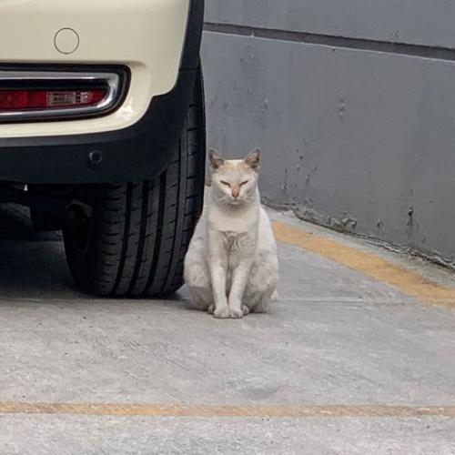 สมาชิกหมายเลข 6238819