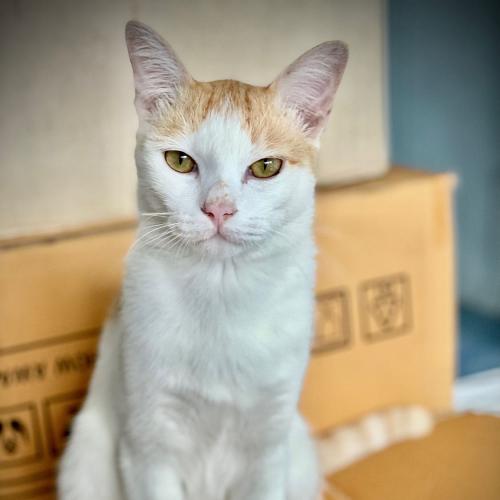 สมาชิกหมายเลข 5812423