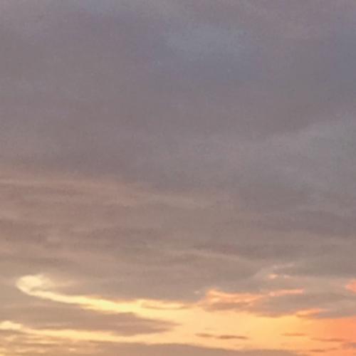 สมาชิกหมายเลข 6891453