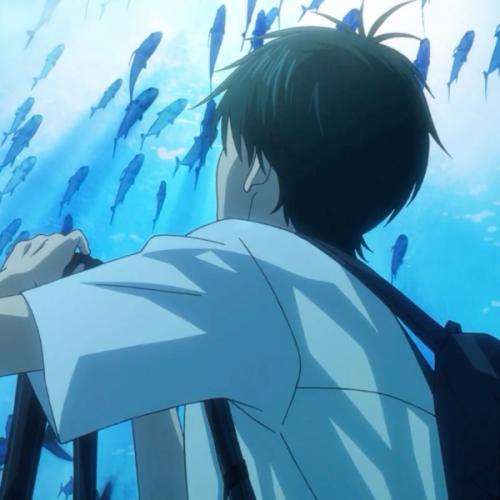 สมาชิกหมายเลข 4700668