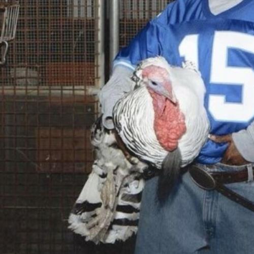 สมาชิกหมายเลข 6693282