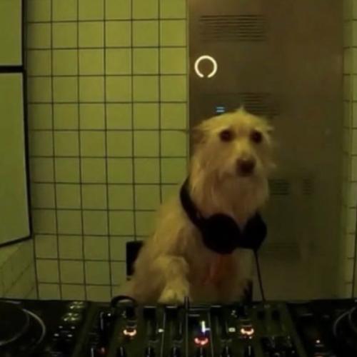 สมาชิกหมายเลข 7796801