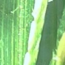 สมาชิกหมายเลข 2593458