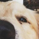 สมาชิกหมายเลข 2920344