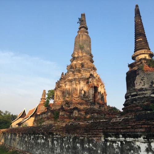 สมาชิกหมายเลข 1435041