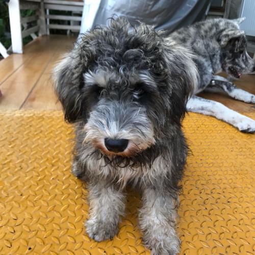 สมาชิกหมายเลข 4353096