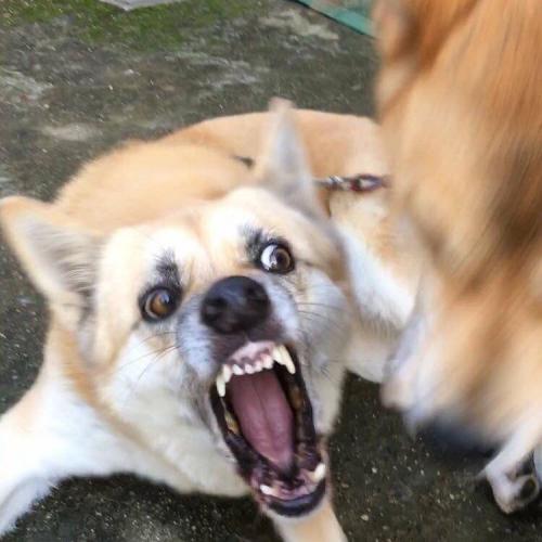 สมาชิกหมายเลข 5236041