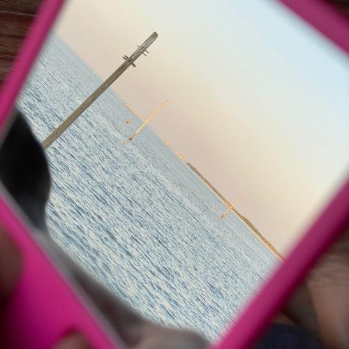 สมาชิกหมายเลข 2621194