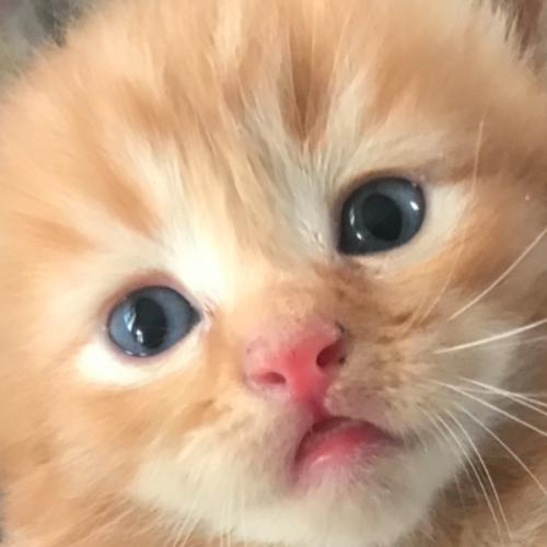 สมาชิกหมายเลข 6239496