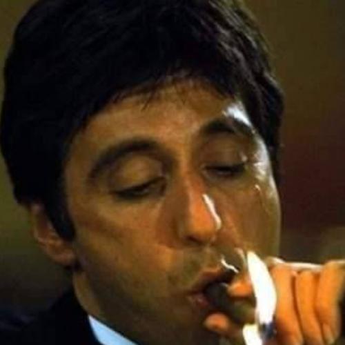 สมาชิกหมายเลข 6239885