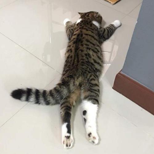 สมาชิกหมายเลข 5541276