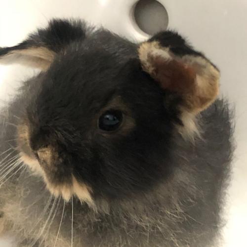 สมาชิกหมายเลข 5652205