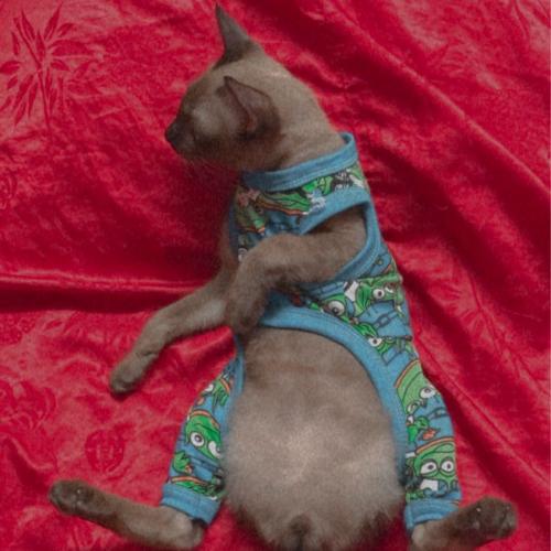 สมาชิกหมายเลข 4634551