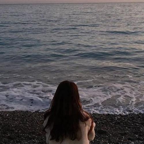 สมาชิกหมายเลข 5231196