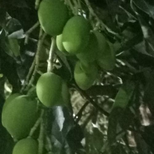 สมาชิกหมายเลข 5061819