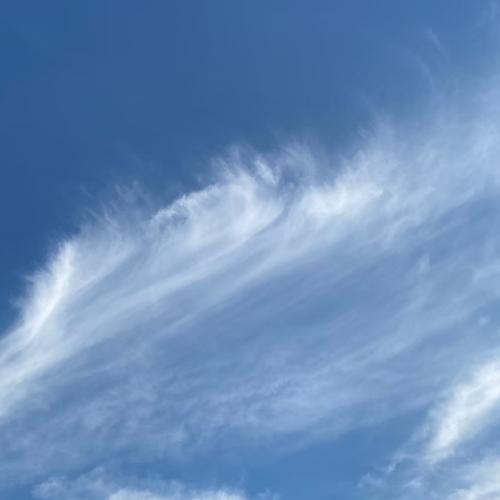 สมาชิกหมายเลข 5983432