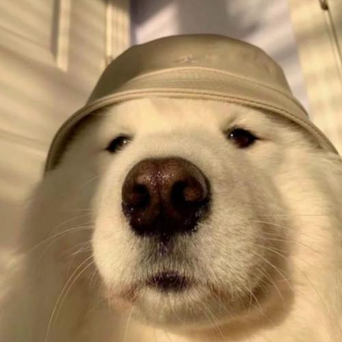 สมาชิกหมายเลข 2932689