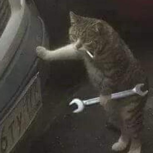 สมาชิกหมายเลข 4512407