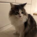 สมาชิกหมายเลข 1664815