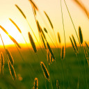 สมาชิกหมายเลข 5236649