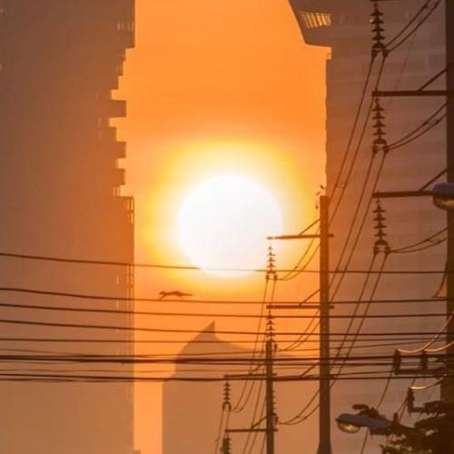 สมาชิกหมายเลข 4981325