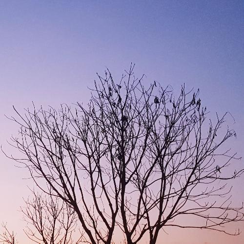 สมาชิกหมายเลข 5163561