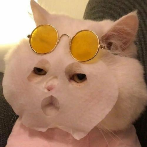 สมาชิกหมายเลข 4221032