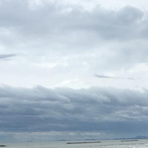 สมาชิกหมายเลข 6241117