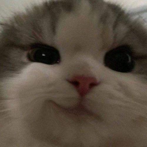 สมาชิกหมายเลข 1186266