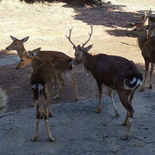 สมาชิกหมายเลข 1406286