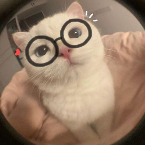 สมาชิกหมายเลข 8358993