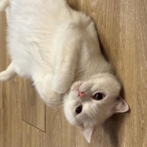 สมาชิกหมายเลข 8601980