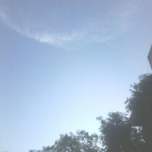 สมาชิกหมายเลข 4849002