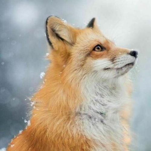 สมาชิกหมายเลข 4657657