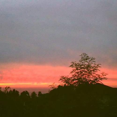 สมาชิกหมายเลข 5112730