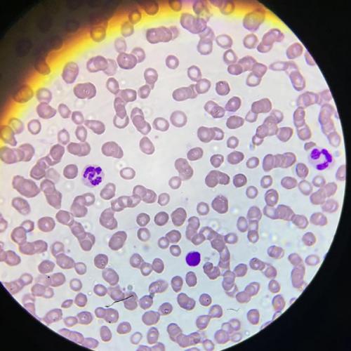 สมาชิกหมายเลข 3777872