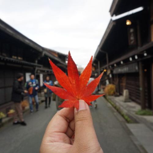 ชะนีฟรีแลนซ์