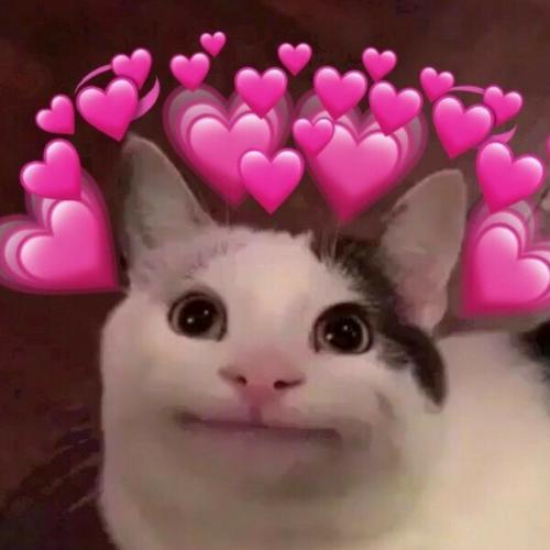 สมาชิกหมายเลข 5617330