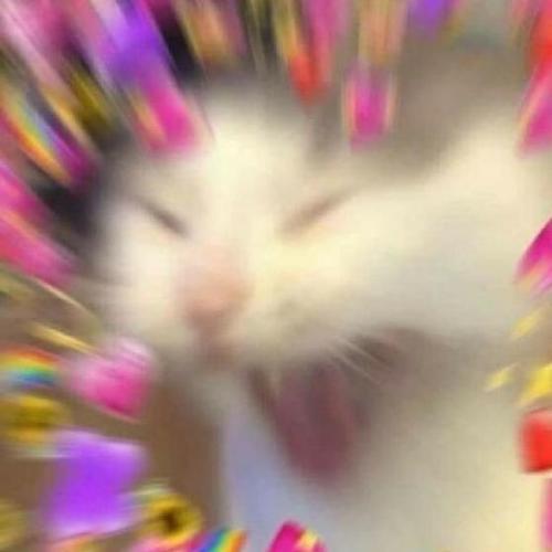 สมาชิกหมายเลข 6895425