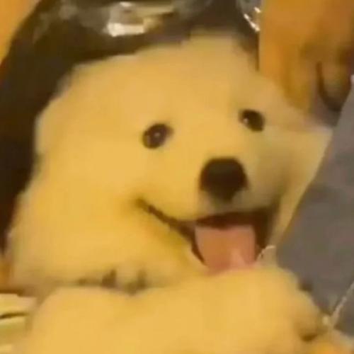 สมาชิกหมายเลข 6788969