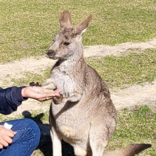 สมาชิกหมายเลข 7653092