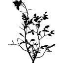 สมาชิกหมายเลข 3197487