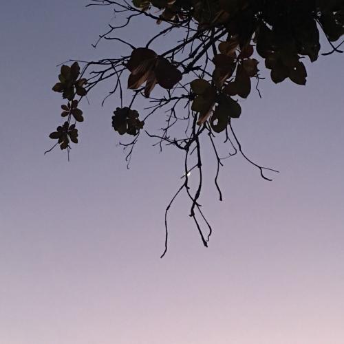 สมาชิกหมายเลข 2278481